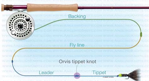 Video Tip How To Tie The Orvis Tippet Knot Fly Fishing Knots Fly