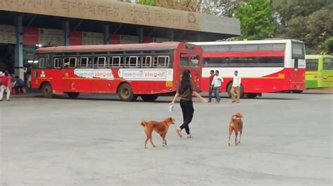 MSRTC S Kurla Nehru Nagar Bus Depot Covarage MSRTC Buses Maharashtra