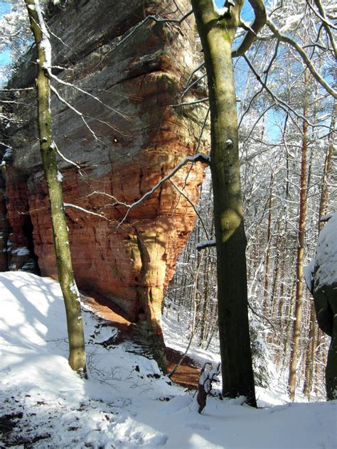 Free Images Tree Nature Forest Wilderness Branch Snow Winter