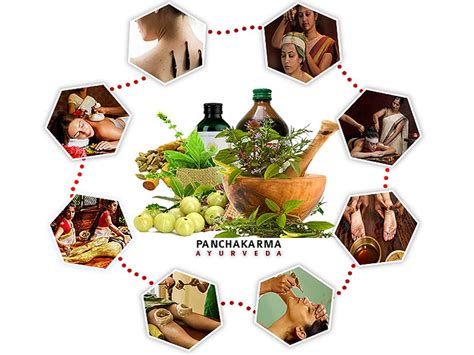 Panchakarma Hospital NCR Delhi, Best Panchkarma Centre Near Me, Ayurvedic Clinic in Meerut