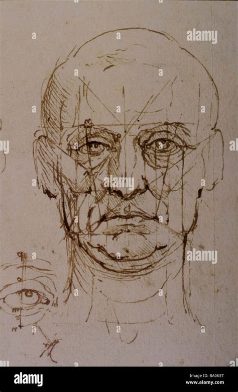 Los Estudios De Las Proporciones De La Cara Y Los Ojos De Leonardo Da