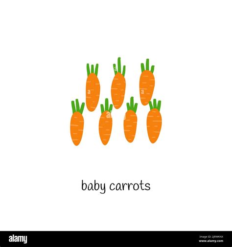 Doodle Colored Baby Carrots Isolated On White Background Stock Vector