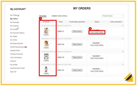 Shein Package Not Delivered - A Complete Guide - MAILBOX MASTER