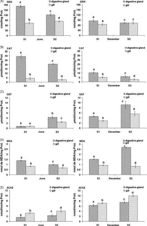 A Reduced Glutathione Gsh Expressed As Nmol Mg Prot B