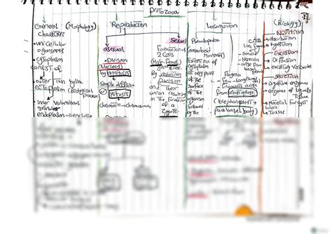 SOLUTION Parasitology Summary Studypool