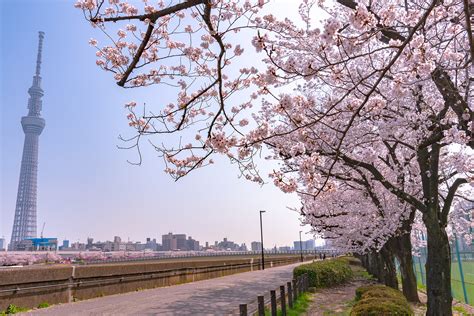 Sumida Koen