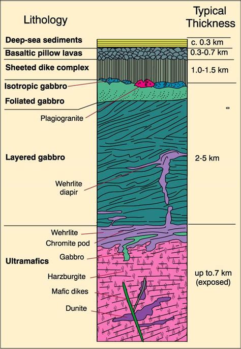 Easy Science: cross-section of ocean floor geology | Lucky Sci