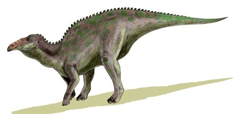 Pictures And Profiles Of Duck Billed Dinosaurs