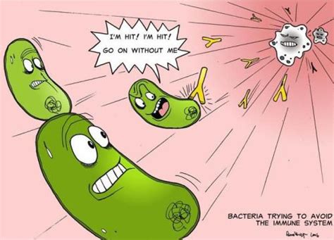 Pin On Immunology Humor