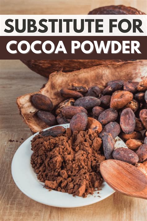 Best Substitutes For Cocoa Powder