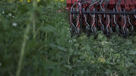 Innovative Seeding Techniques KUHN