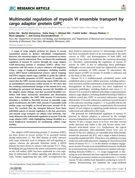 Pdf Multimodal Regulation Of Myosin Vi Ensemble Transport By Cargo