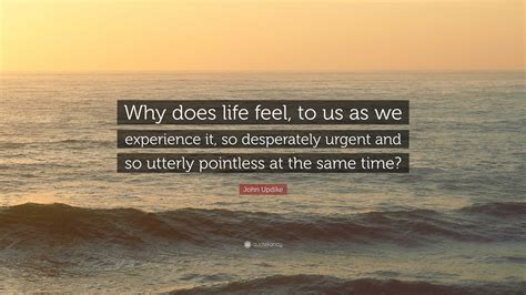 John Updike Quote “why Does Life Feel To Us As We Experience It So