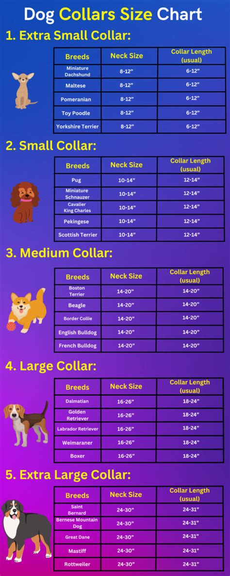 Dog Collar Size Chart - Small to Large Sizes - DoggoMag