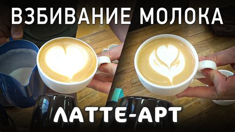 Техника взбивания молока для капучино | 2 способа вливания молока для ...
