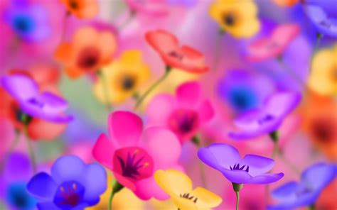 Bright Flower Desktop Wallpapers Top Free Bright Flower Desktop