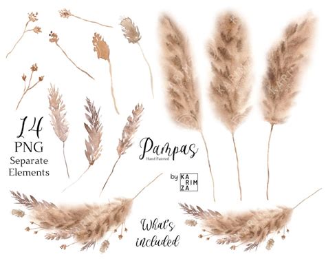 Pampas Grass Clipart Boho Watercolor Wreaths Bohemian Png Etsy