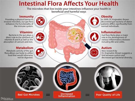 What Is The Gut Microbiome Everyones Talking About Supergut