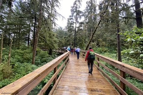 Review: Alaska Rainforest Sanctuary in Ketchikan: Is it Worth It?