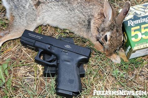 Best Prepper Guns For Defense Homesteading And Worst Case S Firearms