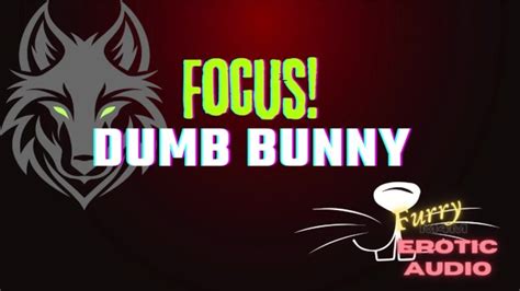 Gay Furry Audio Focus Dumb Bunny Pornhub Gay