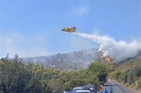 L Incendio A Vieste Doloso E Ha Distrutto Ettari Di Bosco Il