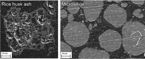 Scanning Electron Microscope Micrographs Of Rice Husk Ash And