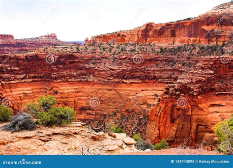 Acantilados Hermosos Del Parque Nacional De Canyonlands Foto De Archivo