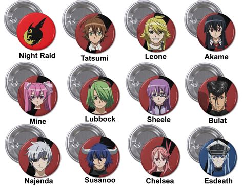 Akame Ga Kill Characters Names