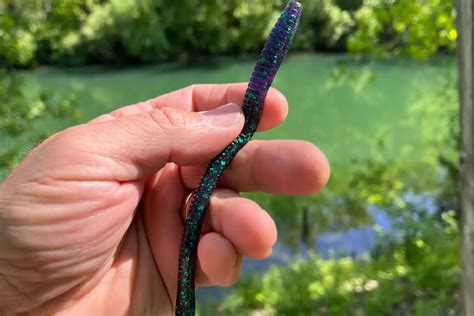 Best Worm For A Shaky Head With Underwater Proof The Bass Fishing Life