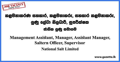 Management Assistant Manager Assistant Manager Saltern Officer