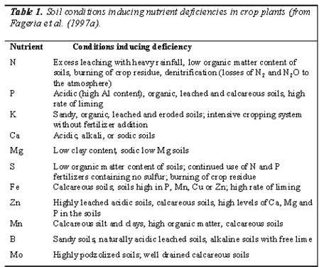 Mineral deficiency – plant stress