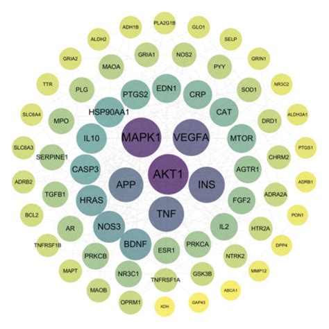 A Network Of Drug Compound Target Of Bht And B Target Interaction