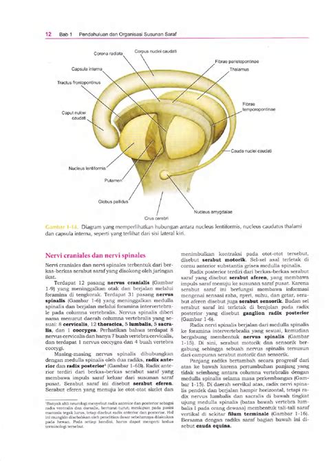 Bab 1 Pendahuluan Dan Organisasi Susunan Saraf Haryahutamas Muka