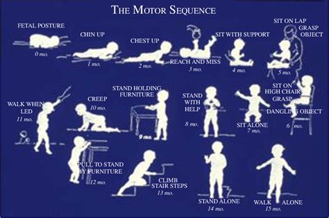 Figure 1 From What Are Fundamental Motor Skills And What Is Fundamental