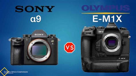 Sony A7r Iii Vs Olympus Om D E M1x Camera Specs Comparison│