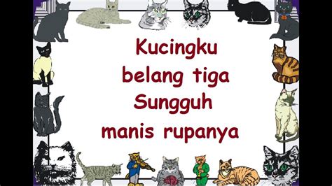 Lirik Kucingku Belang Tiga Lagu Anak Cipt Pak Kasur Musik Pompi