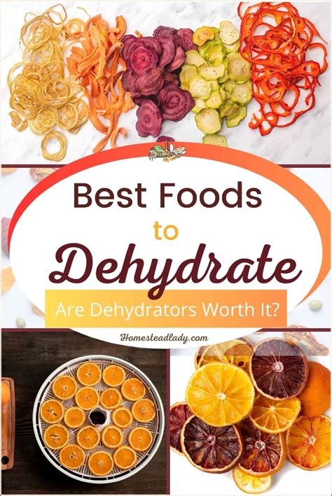 Best Foods to Dehydrate • Homestead Lady