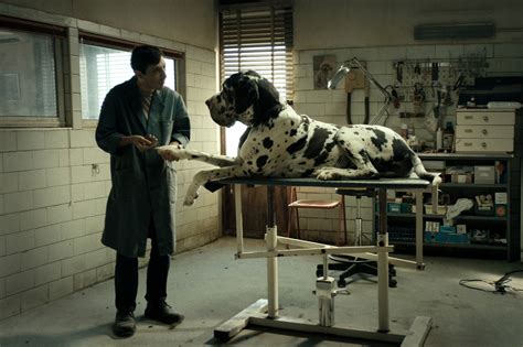 Dogman Chlotrudis Society For Independent Film