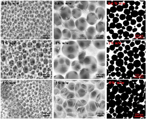 Scanning Electron Micrographs Of Alginate Solid Foams Produced By Micro