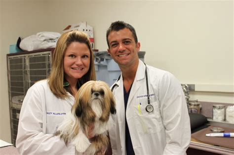 Uf Veterinarians Save ‘sponge Dog Warn Pet Owners To Monitor Animals