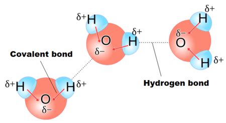 Properties Of Water Polarity