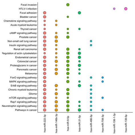 Ijms Free Full Text Braf Tert And Hla G Status In The Papillary