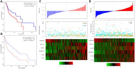 Six Gene Signature For Predicting Survival In Patients With Head And