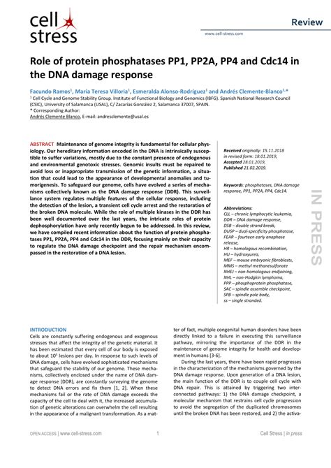 Pdf Role Of Protein Phosphatases Pp1 Pp2a Pp4 And Cdc14 In The Dna