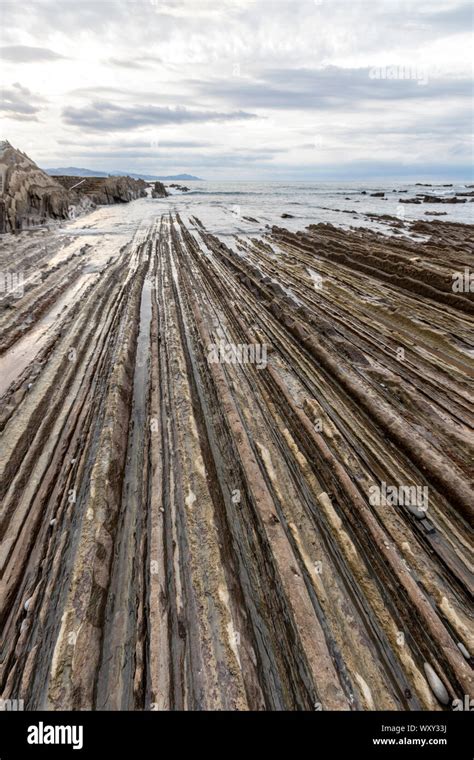 Flysch Itzurun Beach A Sequence Of Sedimentary Rock Layers Zumaia