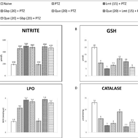 Neuroprotective Efficacy Of Quercetin Lamotrigine And Gabapentin And