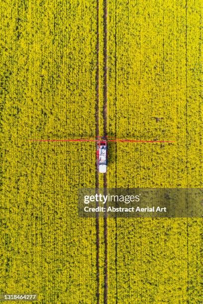 1,458 Canola Field Aerial Stock Photos, High-Res Pictures, and Images ...