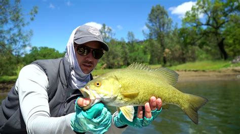 Lake Berryessa Fly Fishing For Smallmouth Bass And Carp Youtube