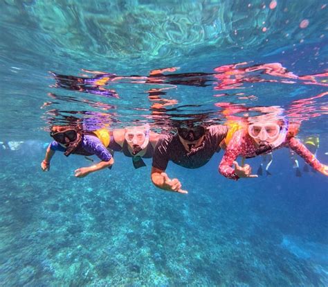 The Best 5 Hr Molokini Crater Snorkeling Tour Snorkel Maui